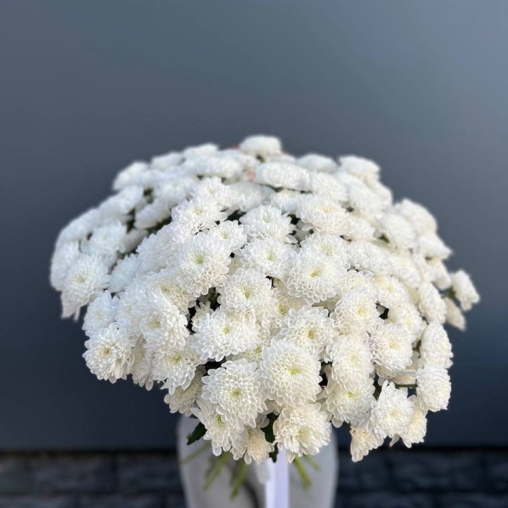  25 хризантем белых в Челябинске