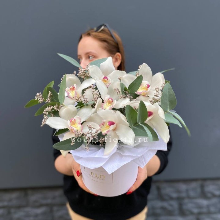 7 орхидей в боксе в Челябинске