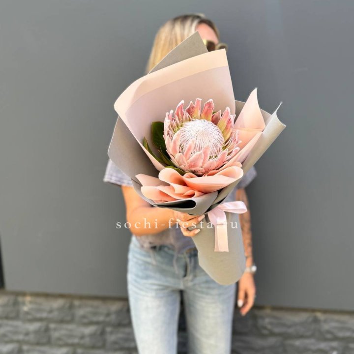 Протея мини  в Челябинске