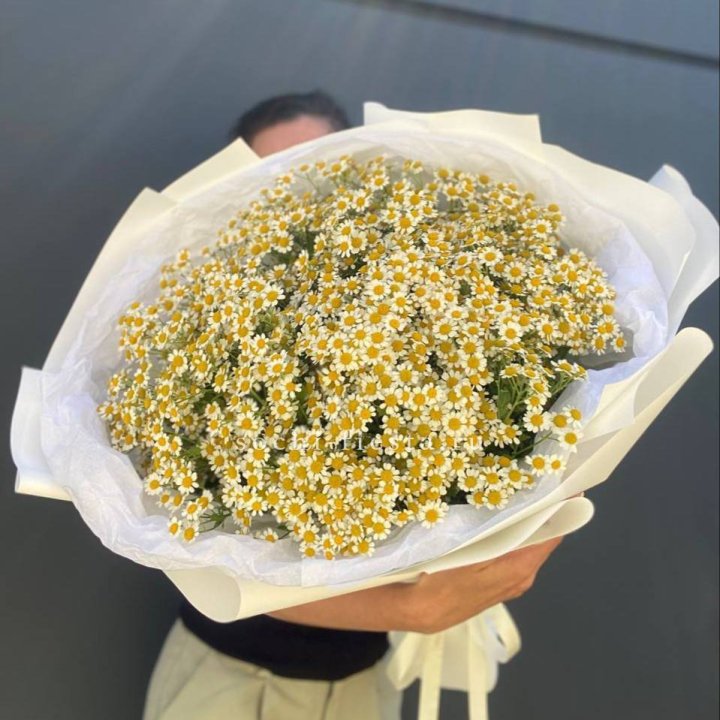 Букет ромашек №2 в Челябинске