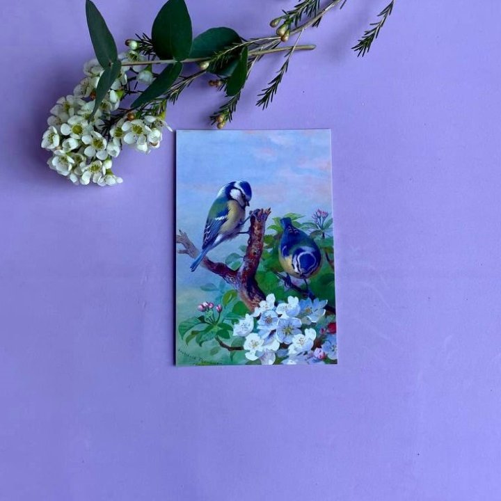 Открытка к букету "Птицы" в Челябинске