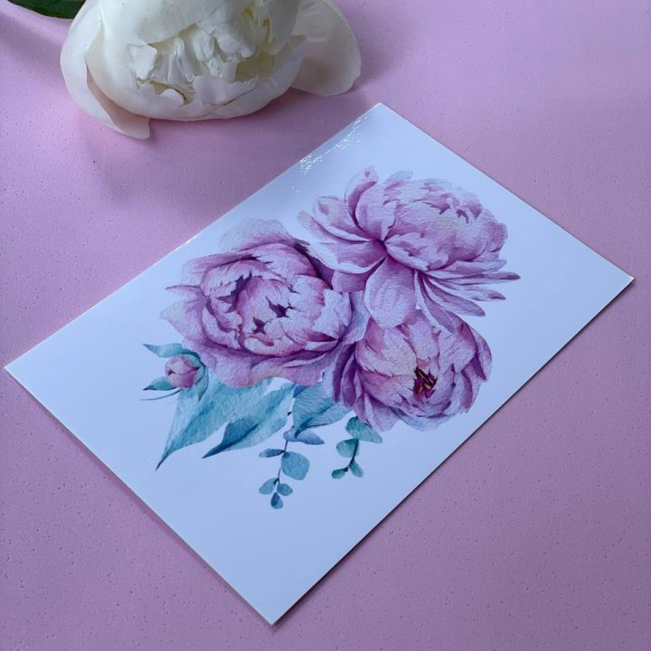 Открытка к букету "Пионы" в Челябинске