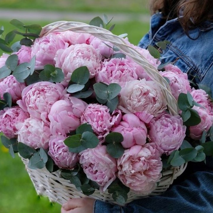 51 пион в корзине в Челябинске