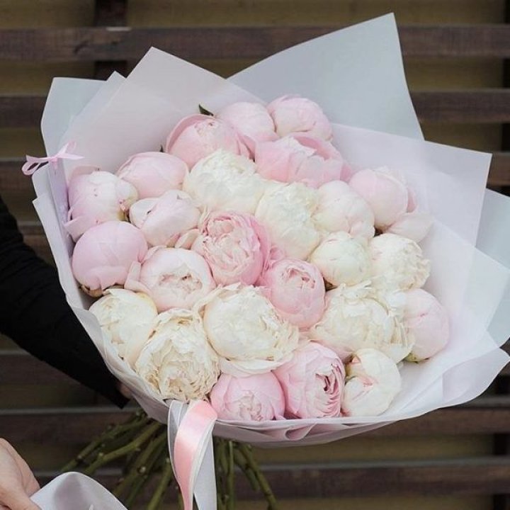 29 пионов в Челябинске