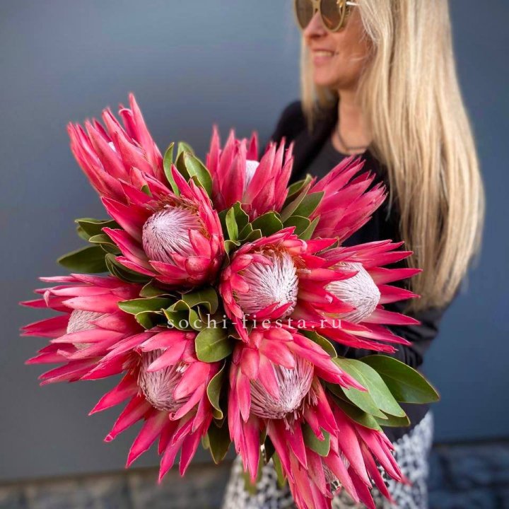 Протея штучно в Челябинске