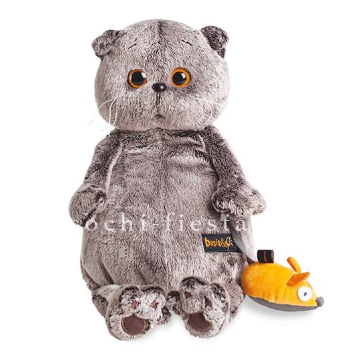 Кот Басик с мышкой в Челябинске