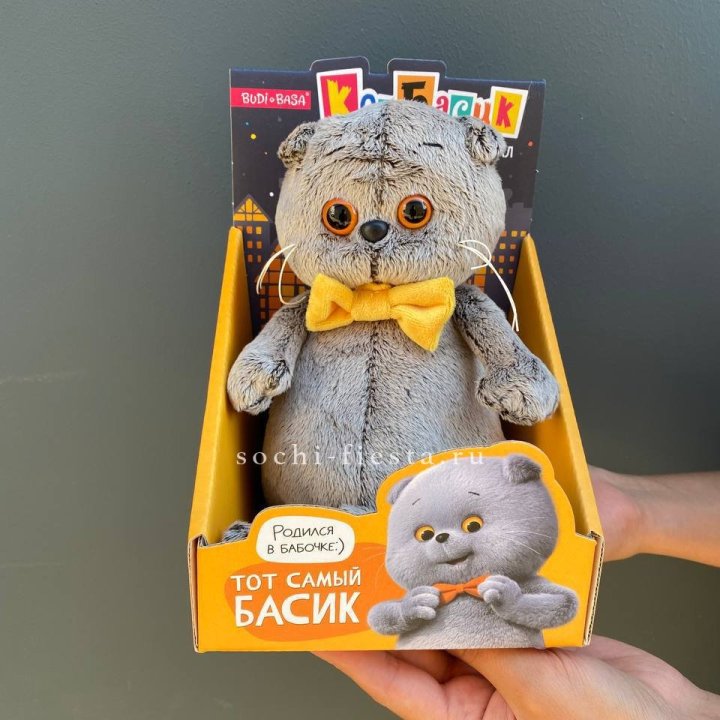 Кот Басик с бабочкой в Челябинске