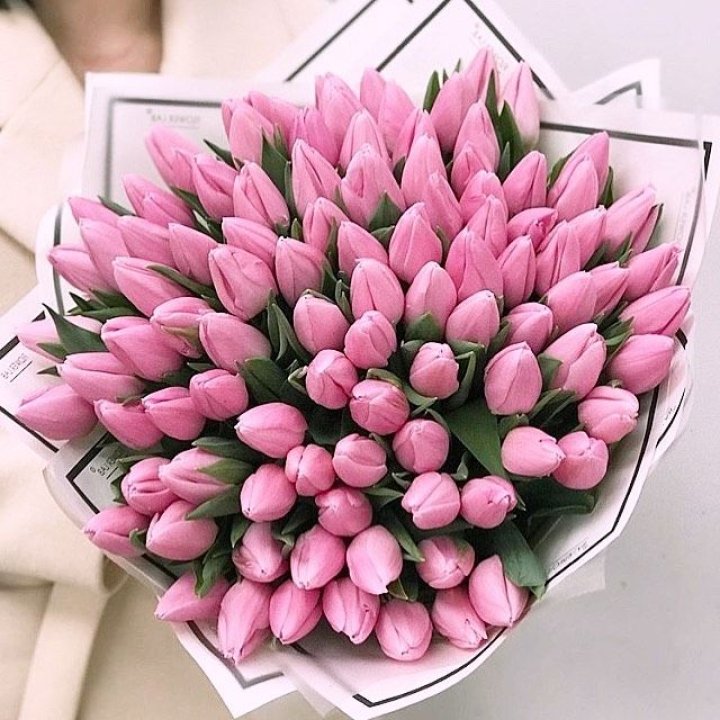 101 розовый тюльпан в белом в Челябинске