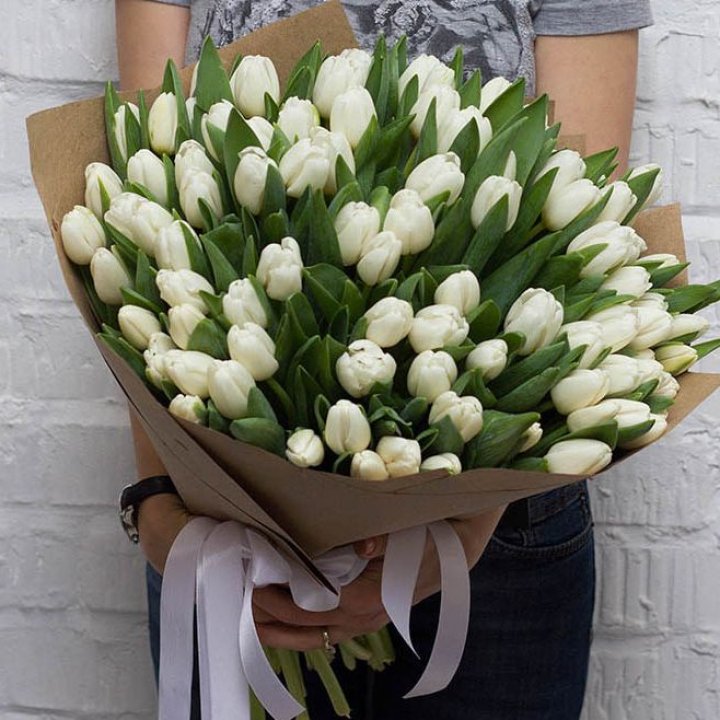 101 тюльпан сноу в Челябинске