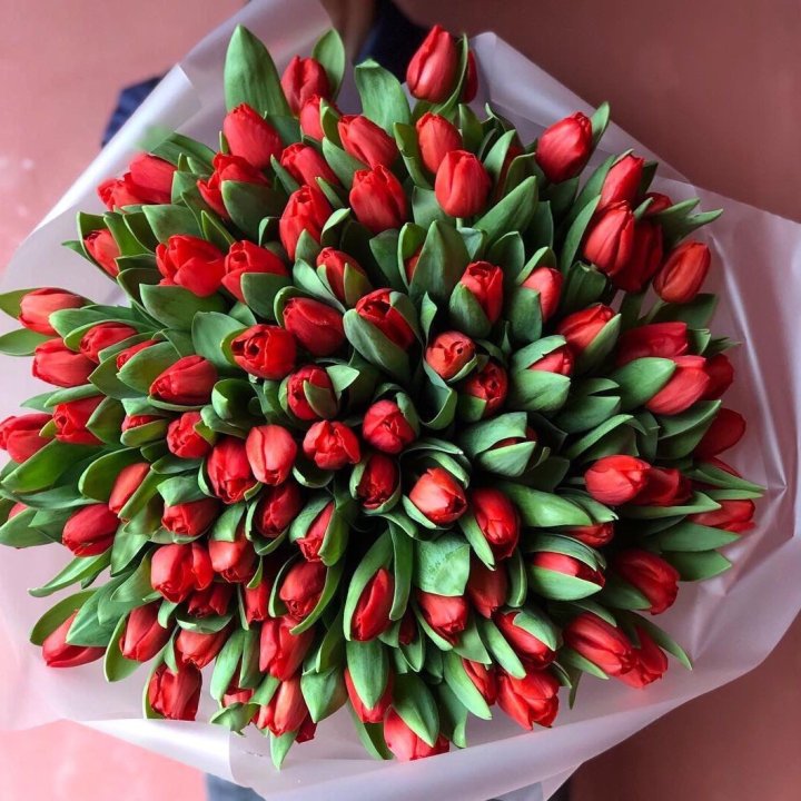 101 красный тюльпан в Челябинске